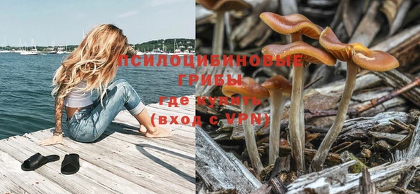 spice Верея