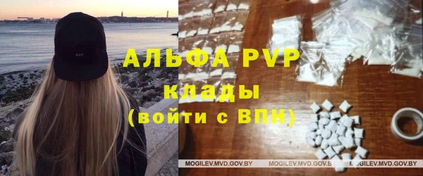 spice Верея