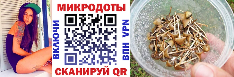 магазин продажи   блэк спрут маркетплейс  Галлюциногенные грибы MAGIC MUSHROOMS  Сургут 